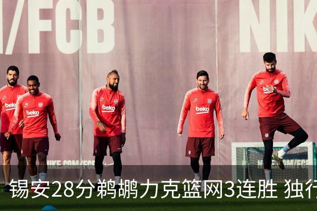锡安28分鹈鹕力克篮网3连胜 独行侠险胜马刺